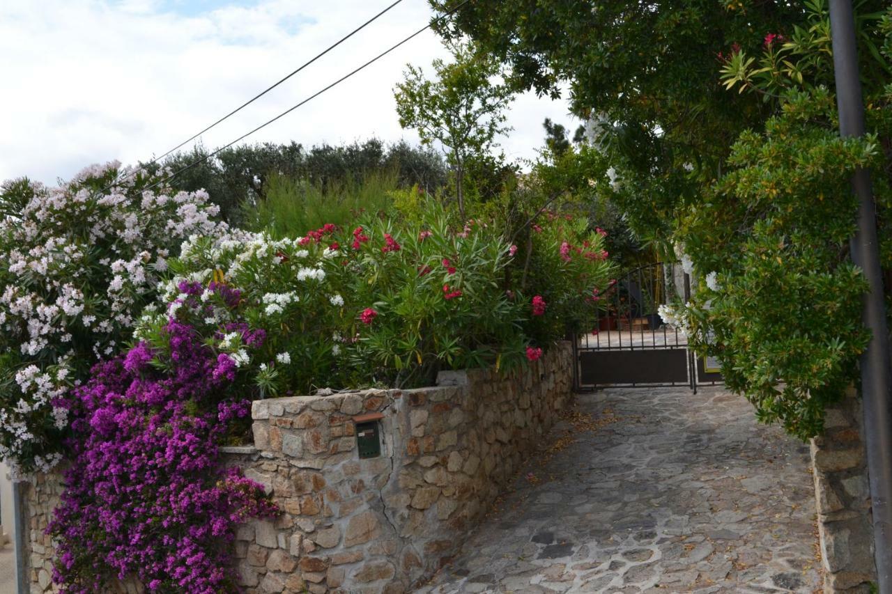 Apartment Les Moulins Saint-Tropez Exterior photo